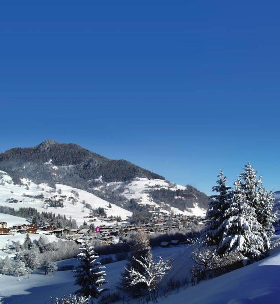 Belambra Clubs Praz-Sur-Arly - L'Alisier Hotel Eksteriør billede